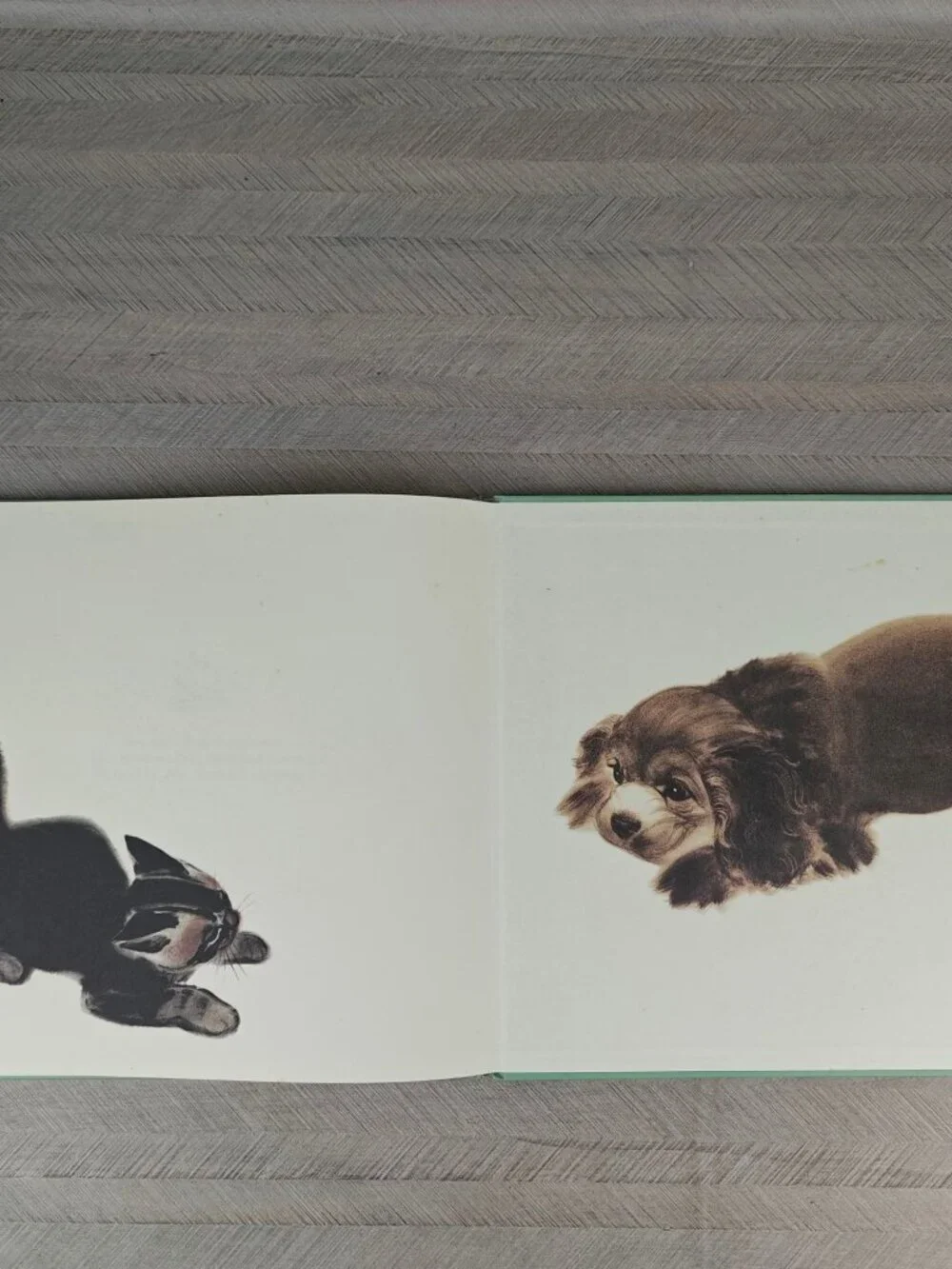 Barkis Clare Turlay Newberry Hardcover 1998 First Smithmark Edition Illustrated